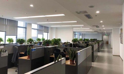江蘇省電子信息產(chǎn)品質(zhì)量監(jiān)督檢驗研究院與信息安全測評中心 專業(yè)信息咨詢服務解析