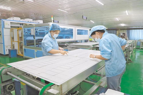 渭南市51項新產品入選省重點名錄，信息技術咨詢服務迎來發展新機遇